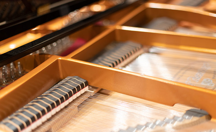 人生は選択の連続である