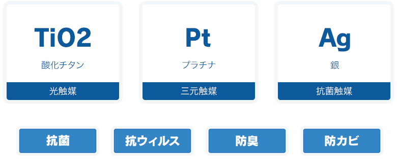 デルフィーノの特徴